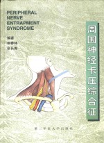 周围神经卡压综合征 封面