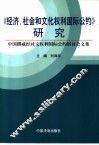 《经济、社会和文化权利国际公约》研究  中国挪威经社文权利国际公约研讨会文集 封面