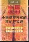 中国农村小额信贷扶贫的理论与实践  1996年中国小额信贷扶贫国际研讨会论文集 封面