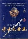 20世纪中国考古大发现 封面