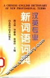 汉英专业新词语词典 封面