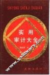 实用审计大全  下 封面