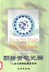 明清青花瓷器  故宫博物院藏瓷赏析 封面