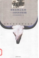 活在丛林山水间  云南民族采集渔猎 封面