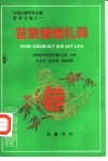 中国少数民族古籍  苗族古籍之一  苗族婚姻礼词  1 封面