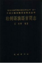 壮侗语族语言简志 封面