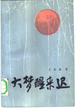 大梦醒来迟 封面
