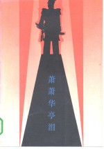 萧萧华亭泪 封面