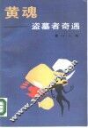 黄魂-盗墓者奇遇 封面