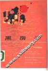黑房子 封面