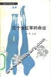 三个女红军的命运 封面