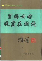 男婚女嫁  又名，山水情  晚霞在燃烧 封面