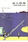 迷人的海  邓刚中短篇小说选 封面