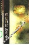 在炫目的色彩中 封面