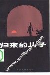 归来的儿子  短篇小说集 封面
