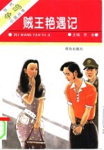 贼王艳遇记 封面