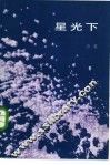 星光下 封面