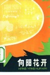 向阳花开 封面