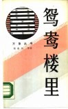 鸳鸯楼里  北京青年公寓纪实 封面