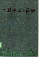 一粒砂，  又一粒砂  报告文学集 封面