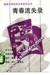 青春流失录 封面