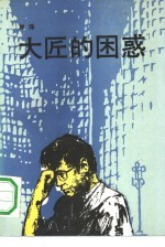 大匠的困惑  我与梁思成 封面