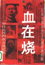 血在烧  中日长沙四次会战纪实 封面