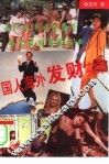 国人海外发财实录 封面