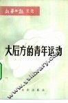 大后方的青年运动  新华日报文选 封面