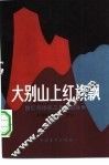 大别山上红旗飘  回忆鄂豫皖三年游击战争 封面