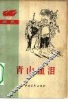 青山血泪  家史 封面