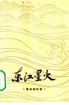 东江星火  革命回忆录 封面