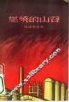燃烧的山谷 封面