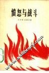 愤怒与战斗 封面