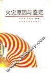 火灾原因与鉴定 封面