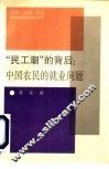“民工潮”的背后 中国农民的就业问题 ZHONG GUO NONG MIN DE JIU YE WEN TI 封面