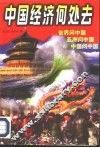 中国经济何处去 封面