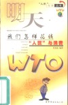 明天，我们怎样花钱  “入世”与消费 封面