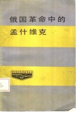 俄国革命中的孟什维克 封面
