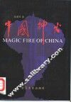 中国神火 封面