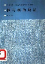 抓与摆的辩证 封面