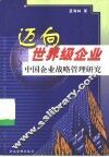 迈向世界级企业  中国企业战略管理研究 封面