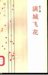 满城飞花 封面