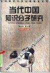 当代中国知识分子研究 封面