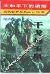 大和平下的硝烟  当代世界军事风云50年  第4卷  干戈与玉帛  1970-1979 封面