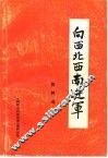 向西北西南进军 封面