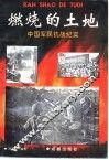 烧燃的土地-中国军民抗战纪实 封面
