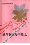 战斗在渤海平原上 封面