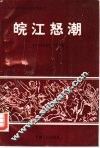 皖江怒潮 封面
