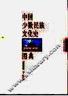 中国少数民族文化史图典  第5卷  西北卷  下 封面